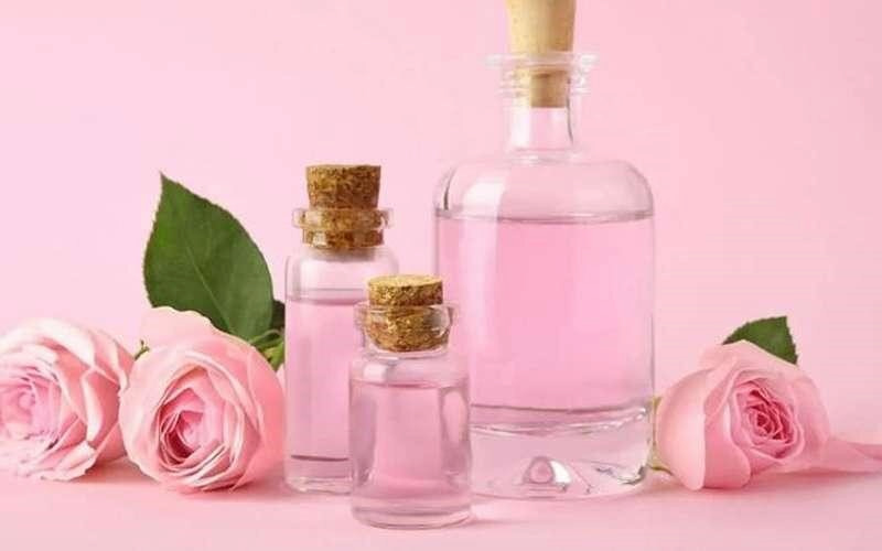 گلاب اصل قمصر کاشان با عطر طبیعی گل محمدی